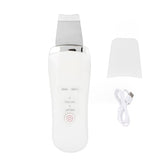 Facial Skin Scrubber