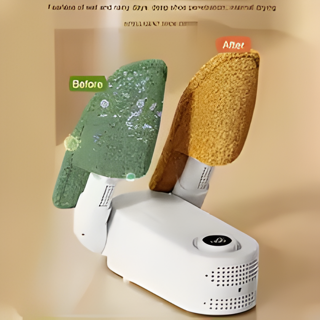 Electric Shoe Dryer & Deodorizer
