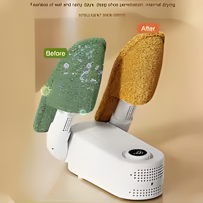 Electric Shoe Dryer & Deodorizer